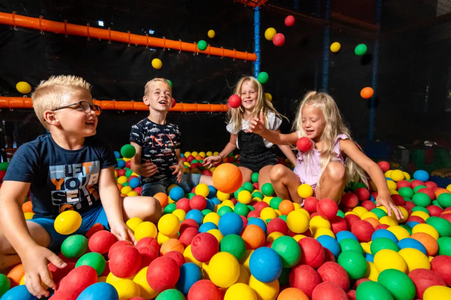 Ballenbak spelende kinderen heggies