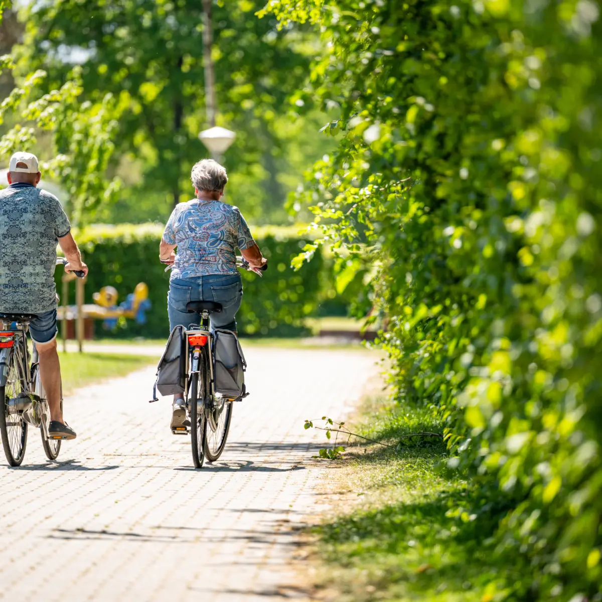 Fietsen zandhegge