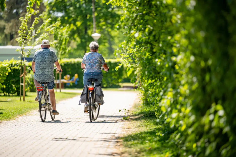 Fietsen zandhegge