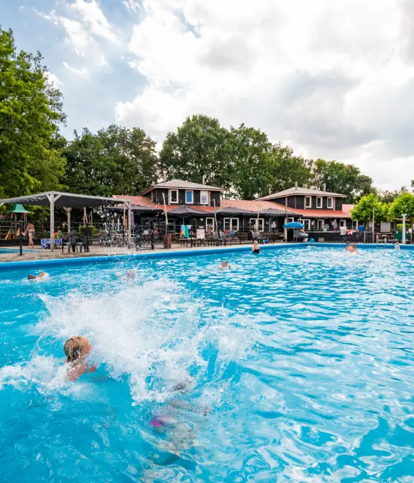 Zwemmende kinderen zwembad