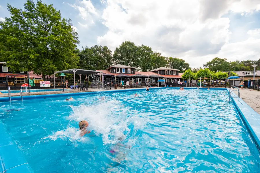 Zwemmende kinderen zwembad