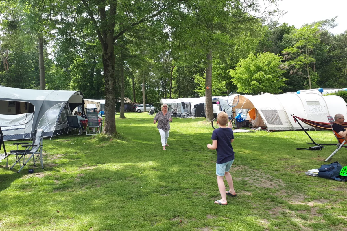 Badminton Douglaslaan Camping de Zandhegge 1