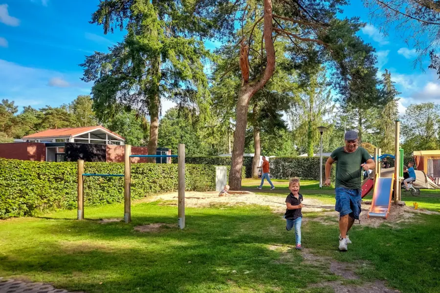 Kampeerplaats met auto tent 2023 5