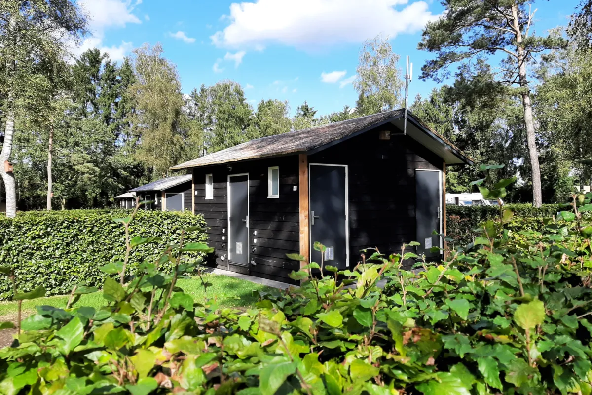 Prive sanitair met groen