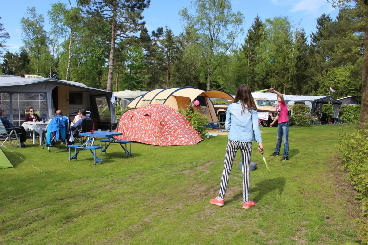 Comfort plaats Camping de Zandhegge H 38 1