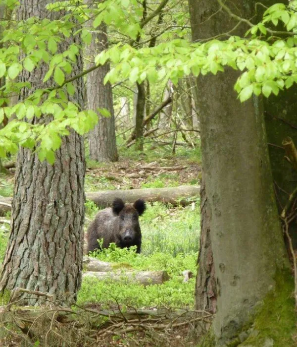Natuurgebieden
