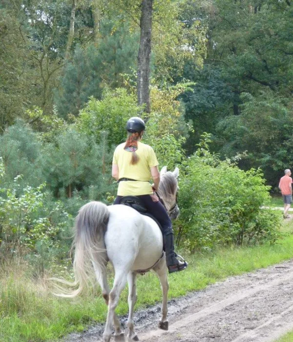 Paardrijden