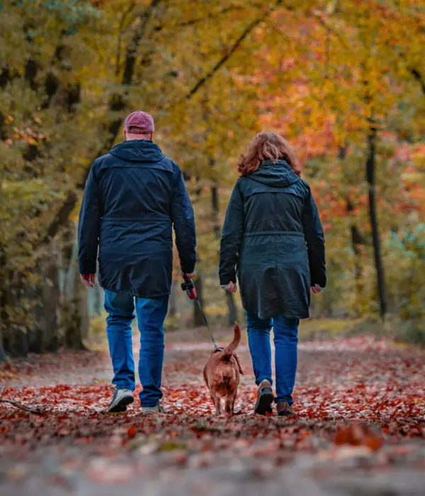 Stel wandelt in het bos met hond bij Camping De Zandhegge