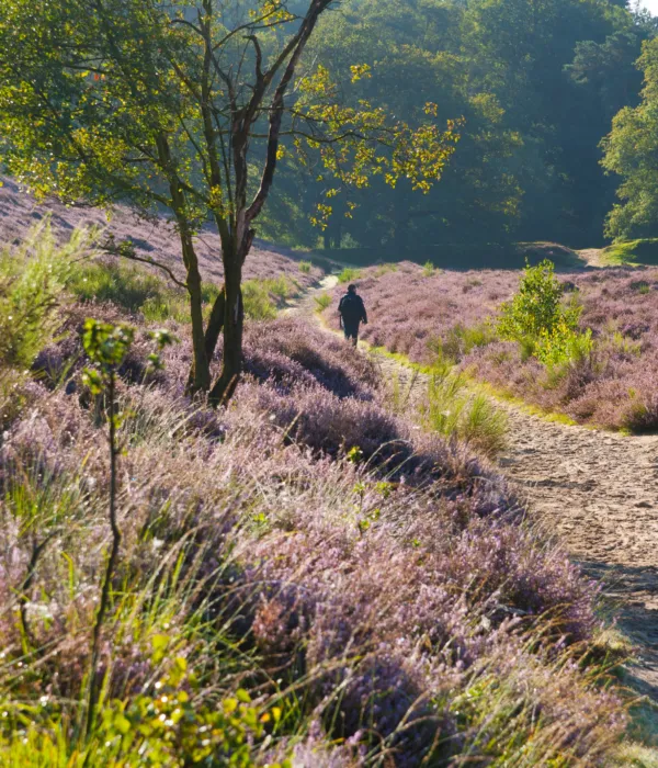 Wandelen