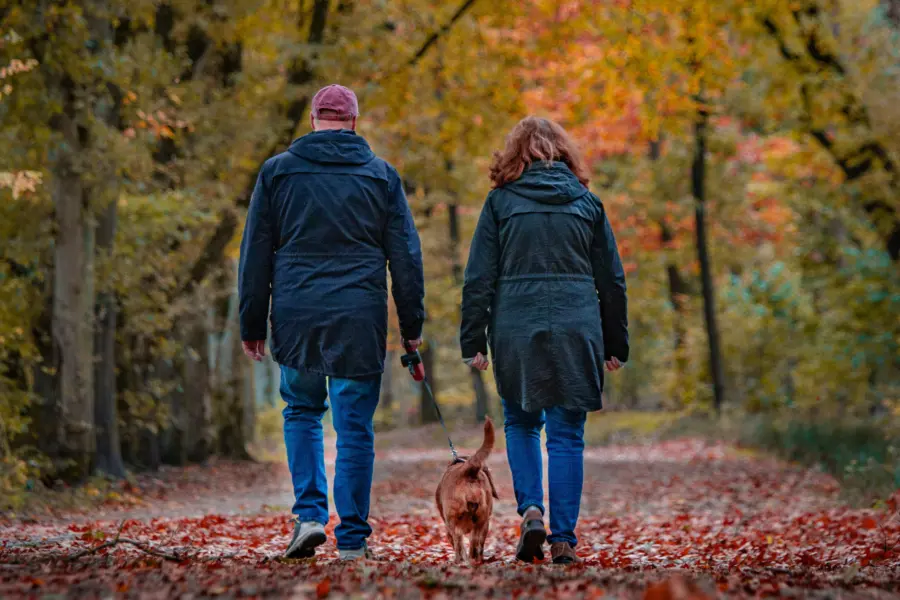 Stel wandelt in het bos met hond bij Camping De Zandhegge