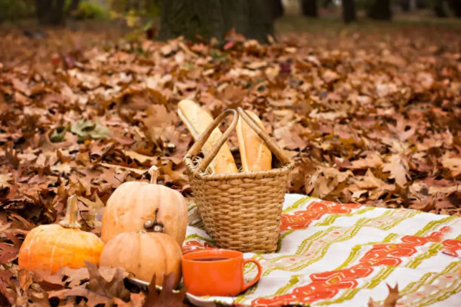 Herfstpciknick