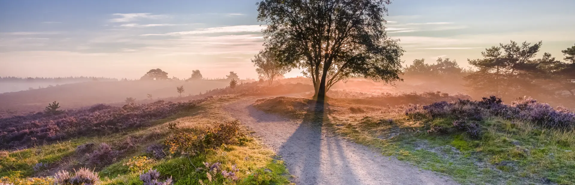Omgeving Camping de Zandhegge