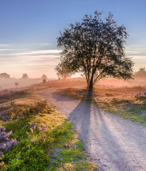 Omgeving Camping de Zandhegge