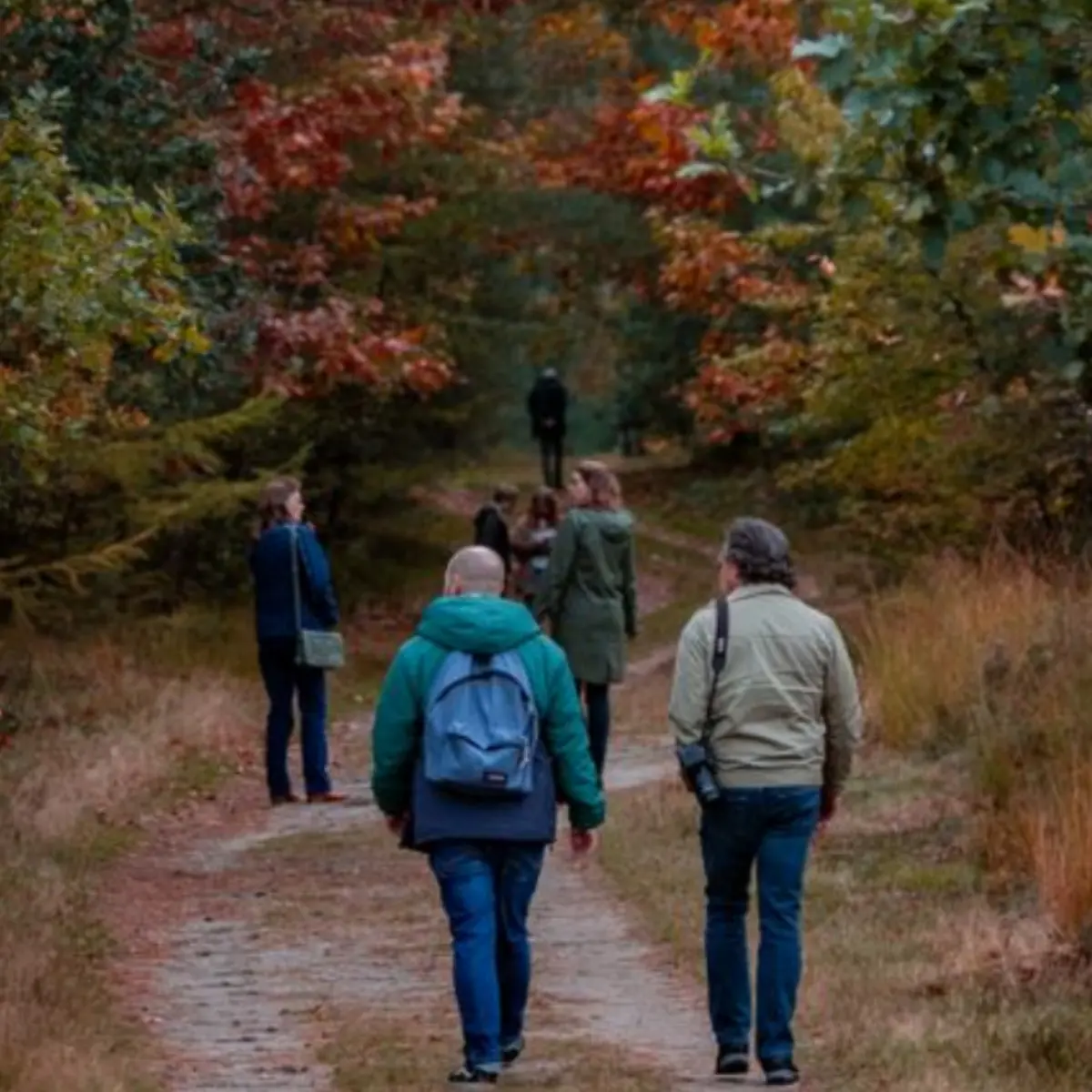 Herfstwandeling
