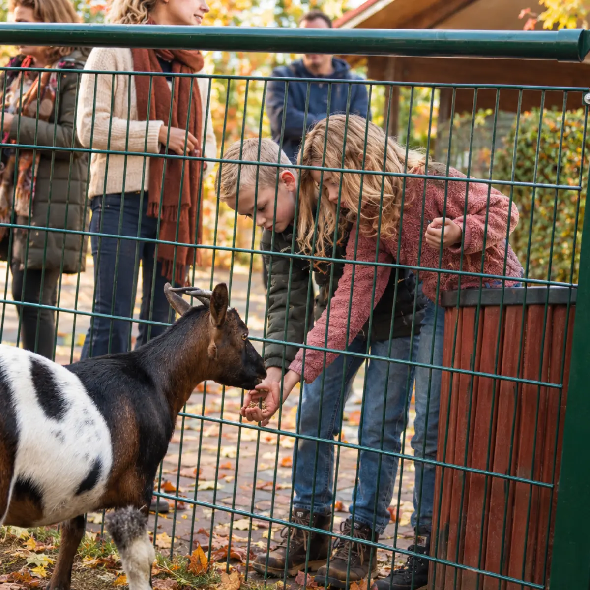 Dieren voeren