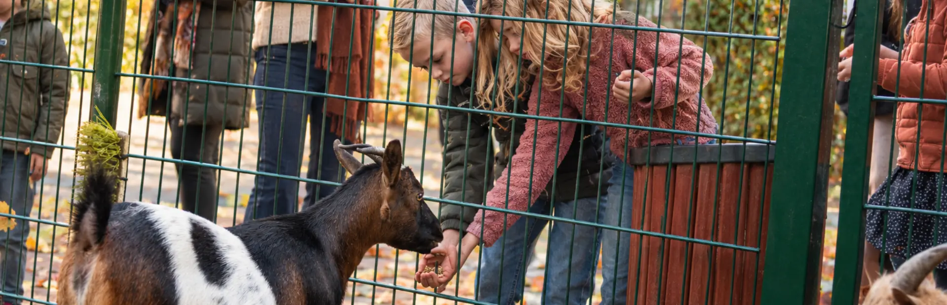 Dieren voeren