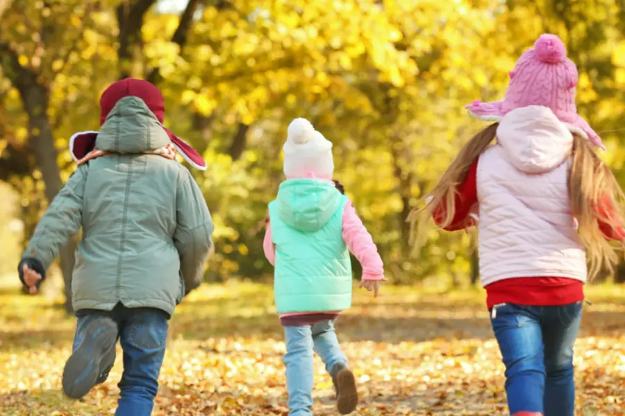 Kinderen in het bos