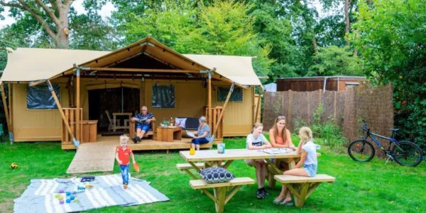 Veluwe safarilodge tent zandhegge 8