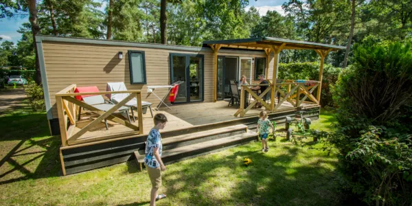 Veluwse Veranda Chalet 1