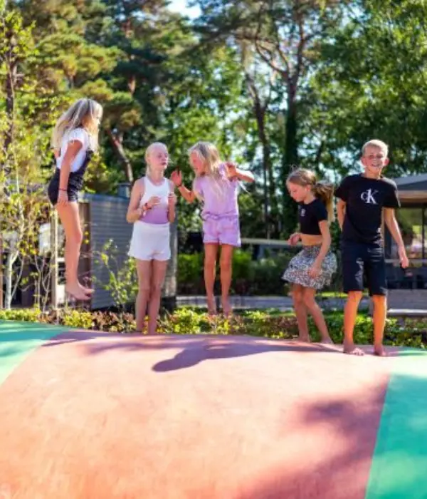 Kids op springkussen